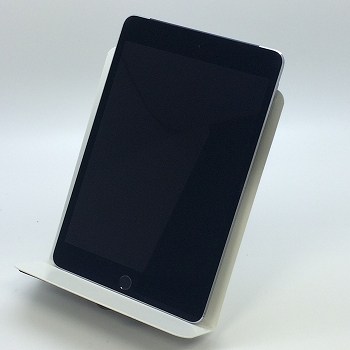 iPad mini 4 / iPadOS14.5.1 / au
