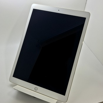 iPad Pro 12.9インチ / iPadOS13.3.1 / au