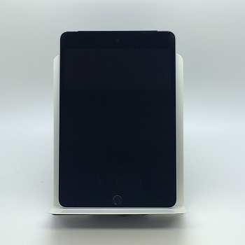 iPad mini 4 / iPadOS14.5.1 / au